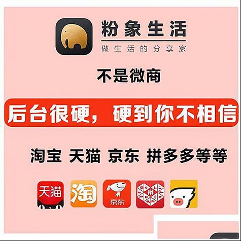 粉象挣钱是真的吗
