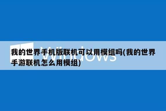 我的世界网易版联机能加mod吗