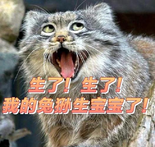 小狗重新投胎最快多久
