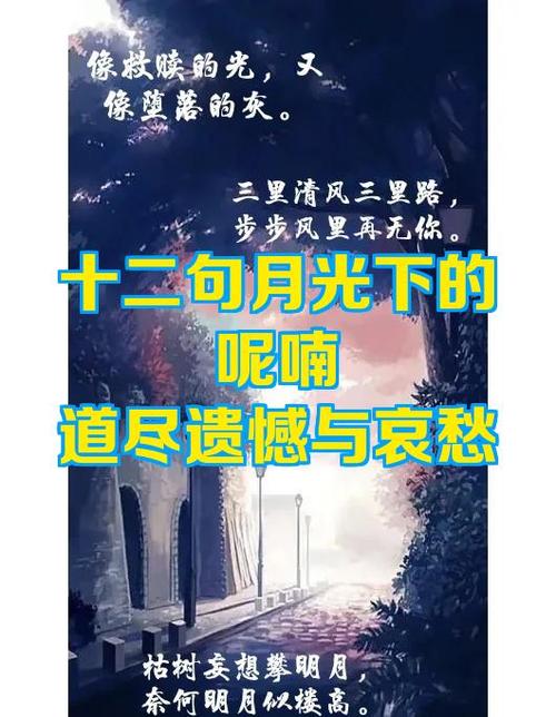 月光下的灰阅读短文