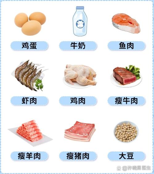 什么叫高能量食物
