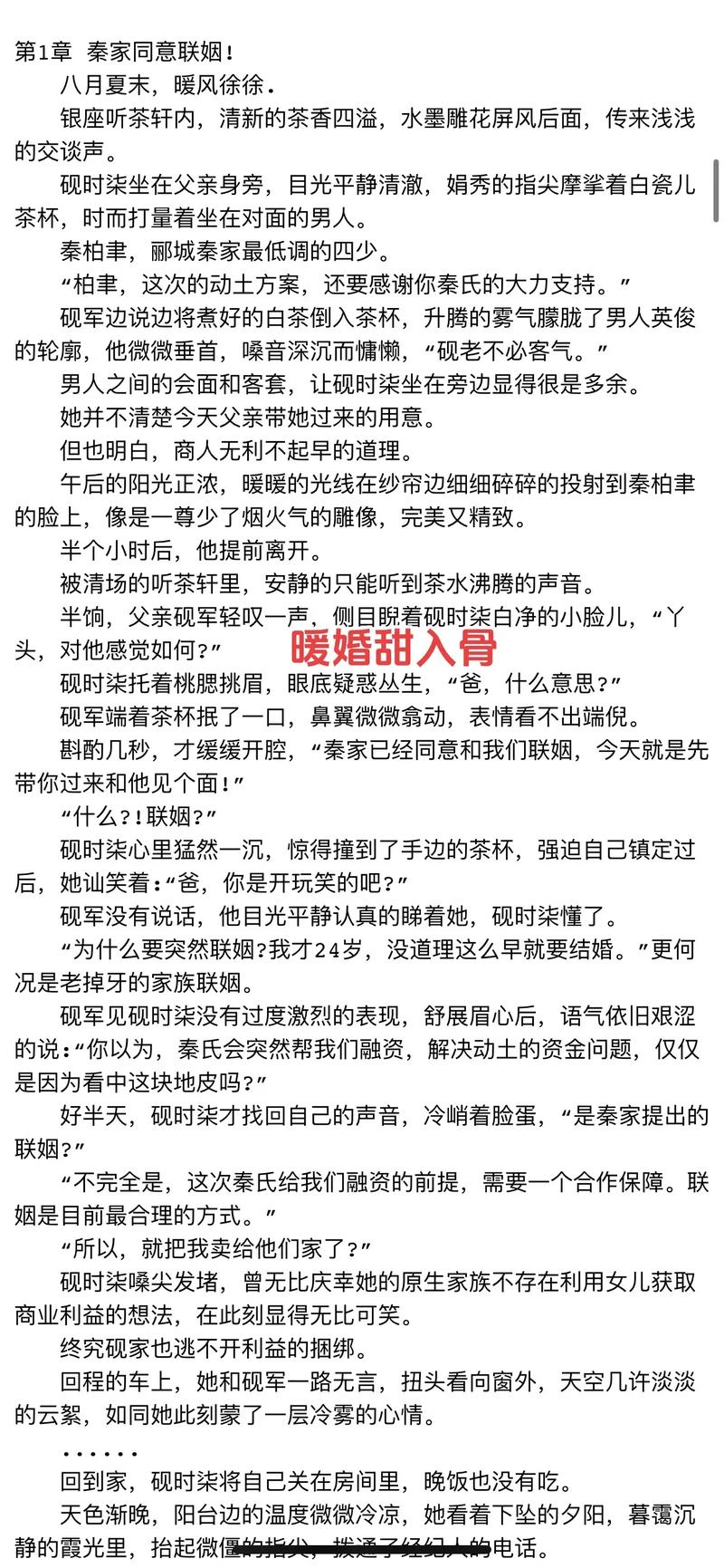 暖暖的婚后生活小说全文阅读