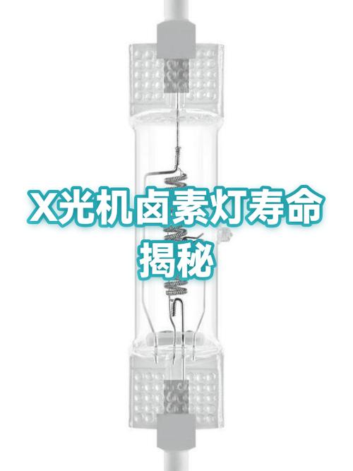 一般x光机使用寿命多久