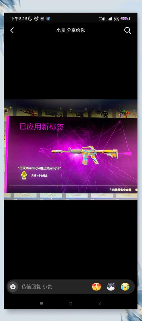 csgo枪的名称标签可以删除吗截图2