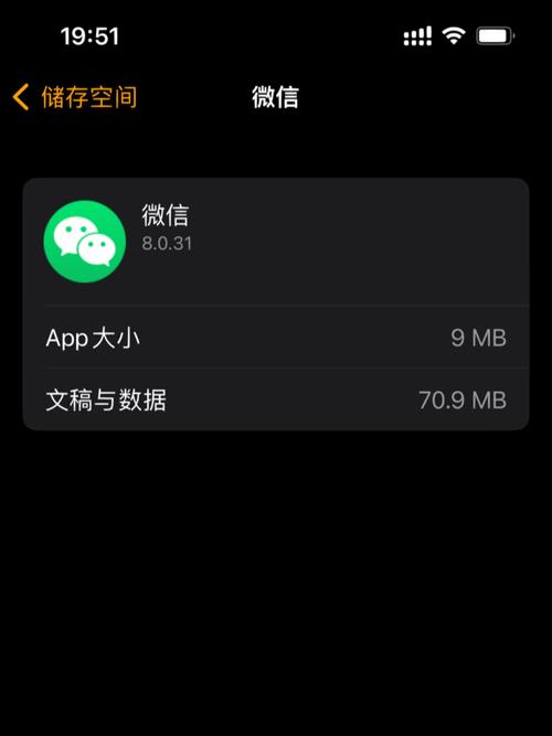 苹果手表为什么删除不了微信聊天记录