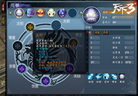 天下3灵兽星点激活