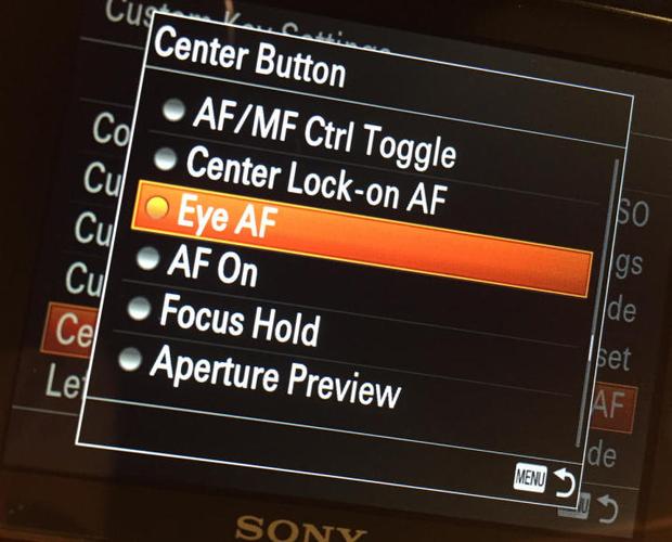 sony翻译成中文截图2