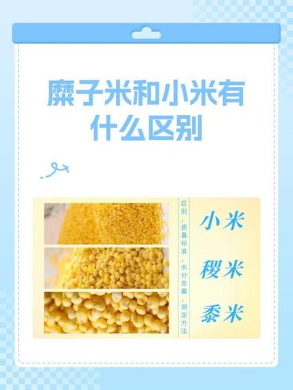 精谷和小米有什么区别