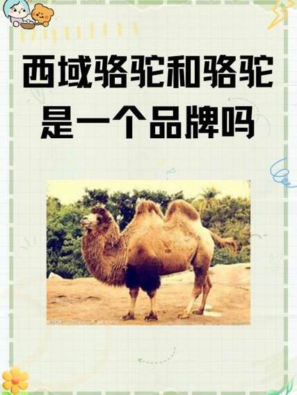 美芙太太是杂牌还是名牌
