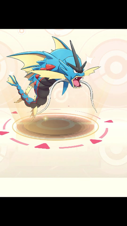 pokemmo暴鲤龙什么性格比较好