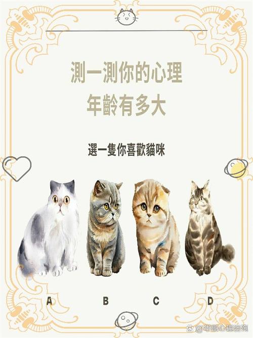 看图测年龄
