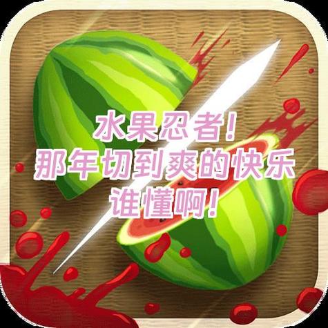 玩什么水果忍者老是进不去