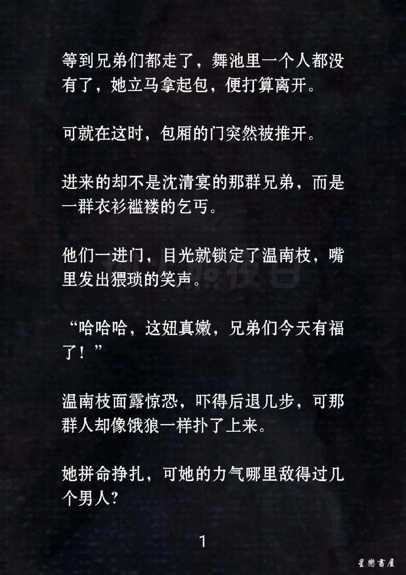 沈溪by乐园路丑橘小说网