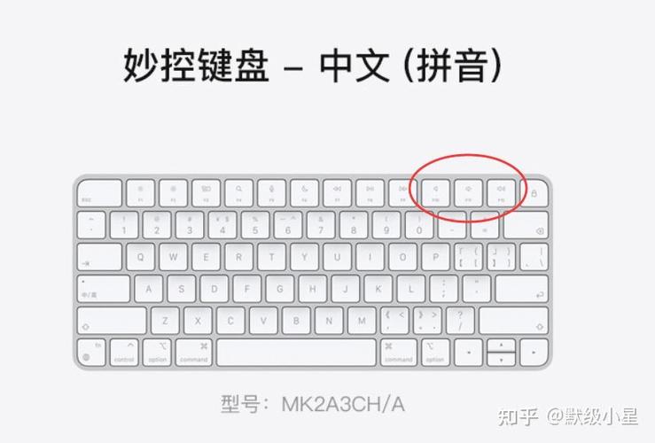 电脑键盘控制音量的键是哪一个键截图2