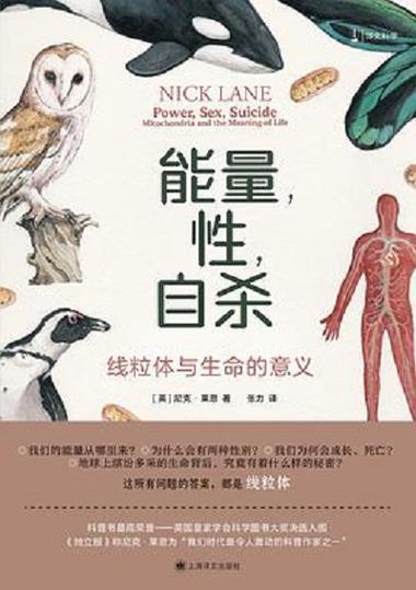能量性死亡