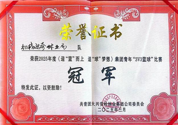 篮球3v3一级证