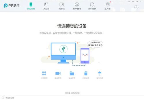 pp助手导入失败