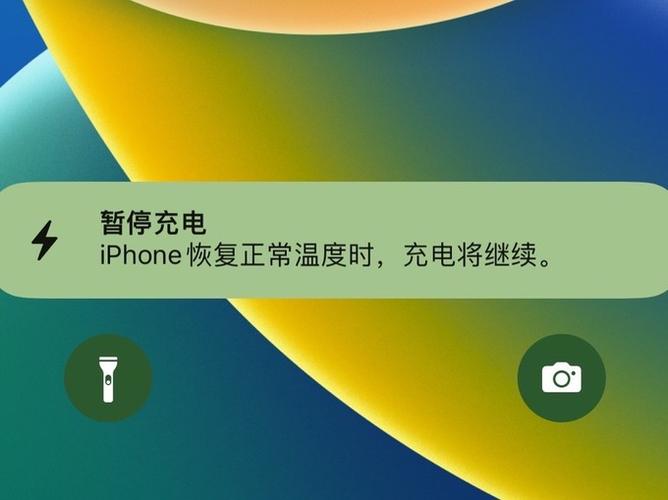 苹果充电会自己停吗