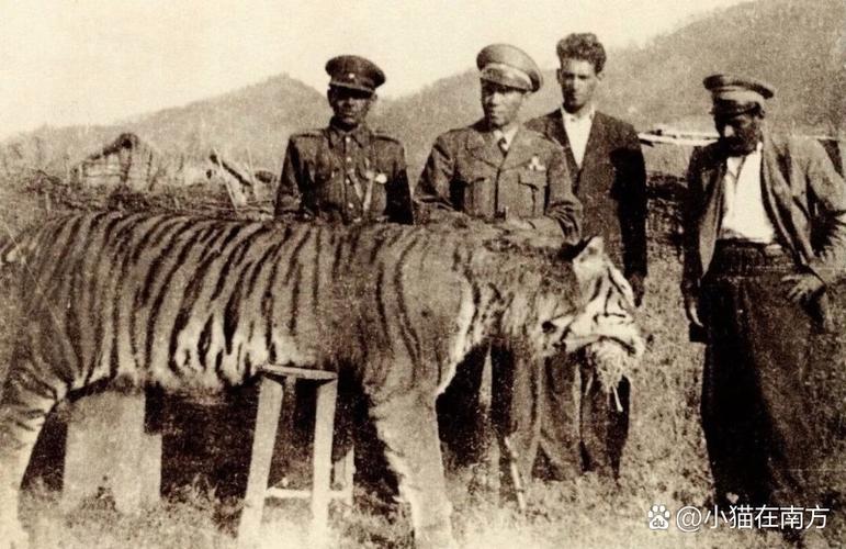 猎杀的英语