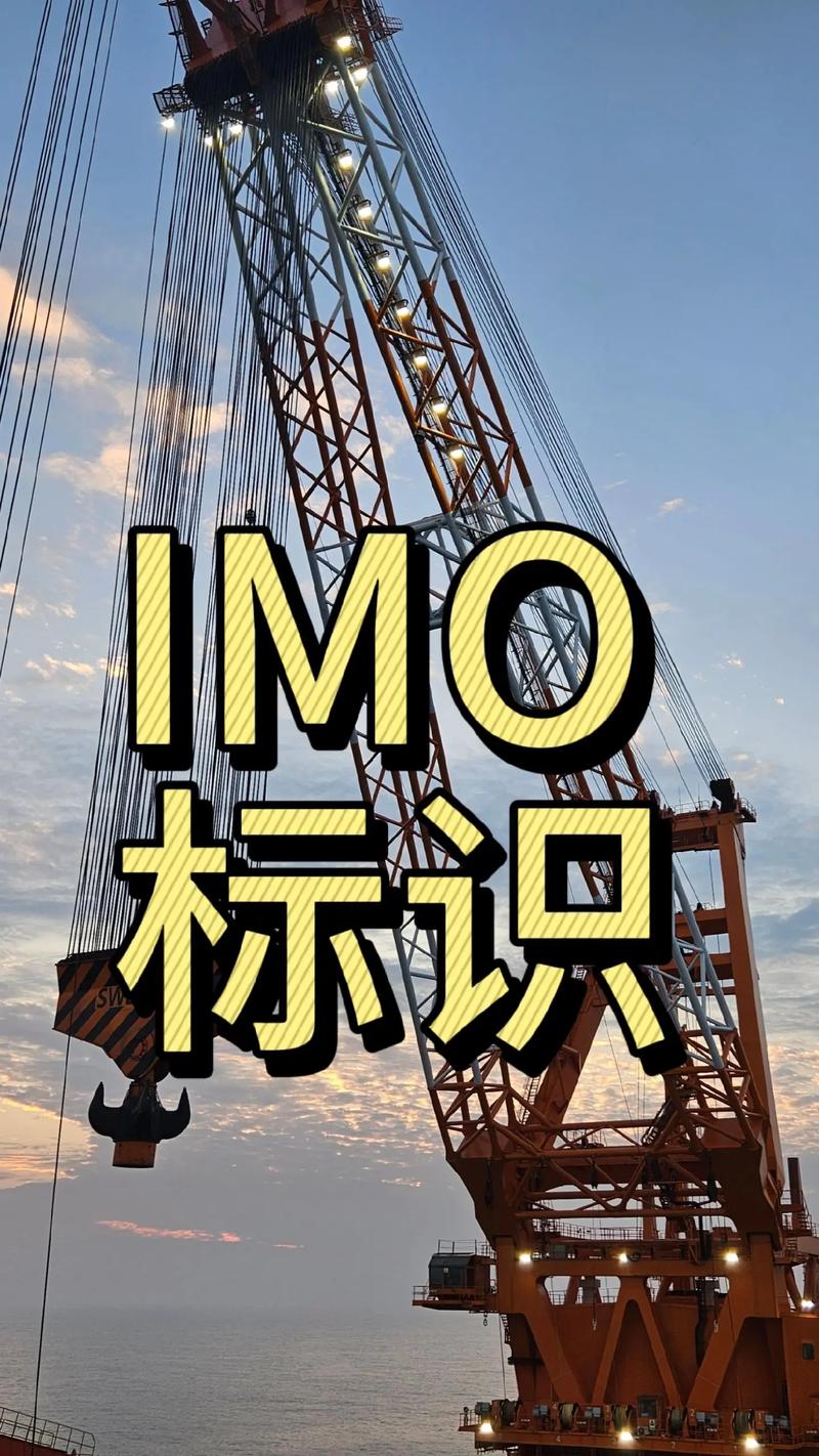 imo是什么意思