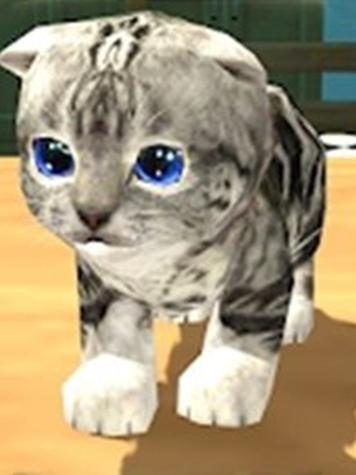 猫咪生存模拟器最新版