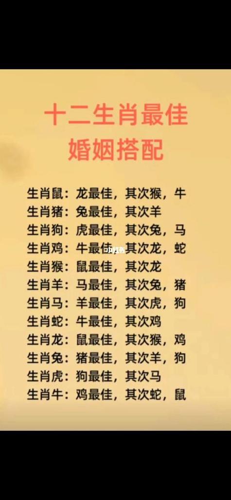 男虎女马的婚姻与财运