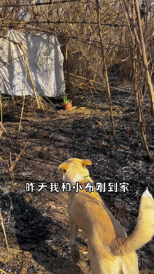 野外生存一百天