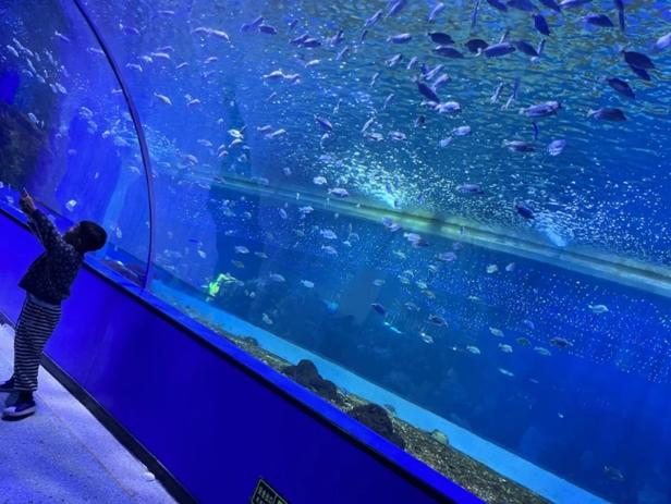 海底世界 票价