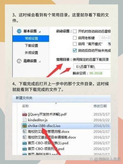 手机迅雷视频文件在哪