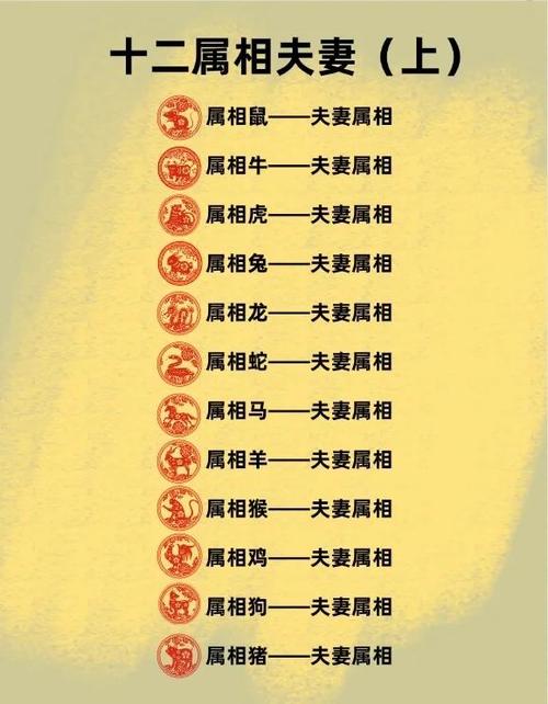 属羊男人最佳妻子