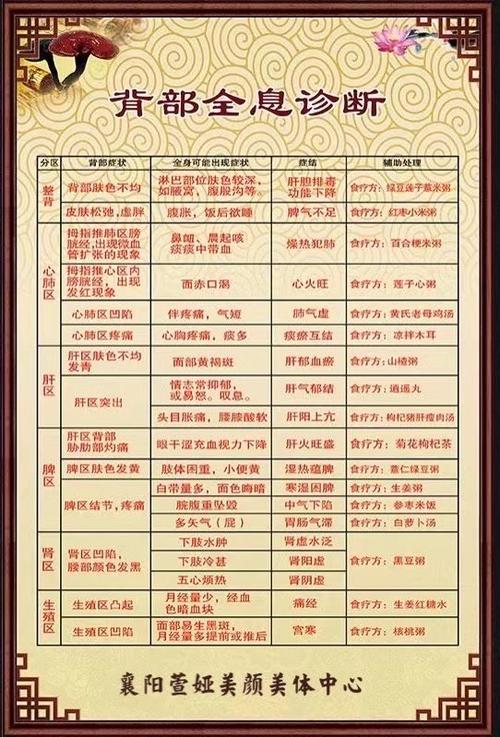 全息能量了养生屋多少钱