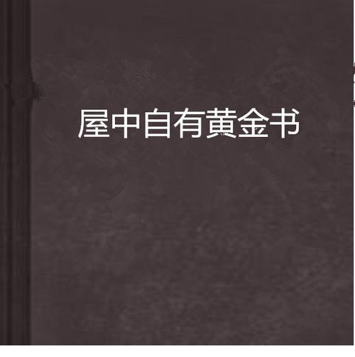 书中自有黄金屋小说