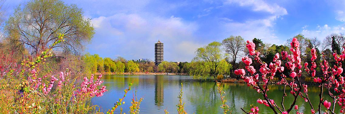 北京大学官网截图2