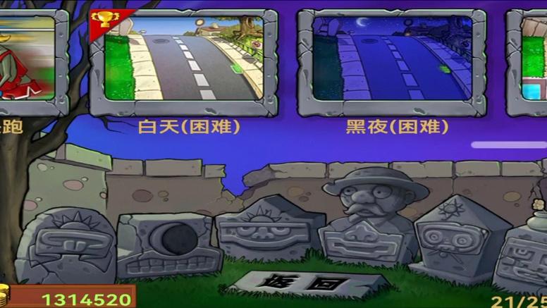 植物大战僵尸生存模式黑夜困难