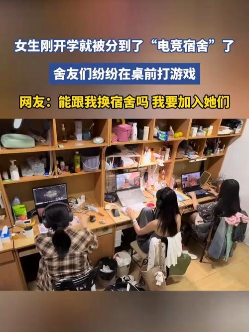 宿舍一起玩的游戏