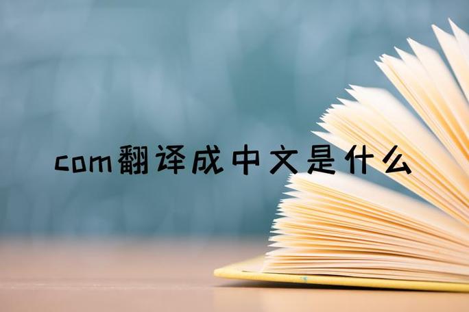 fans是什么翻译中文
