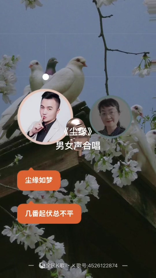 尘缘男女声混合版