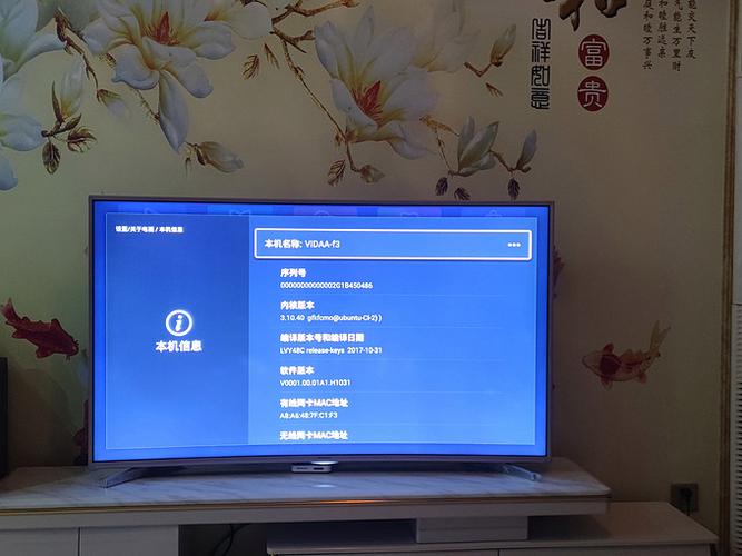 海信电视一直显示hisense