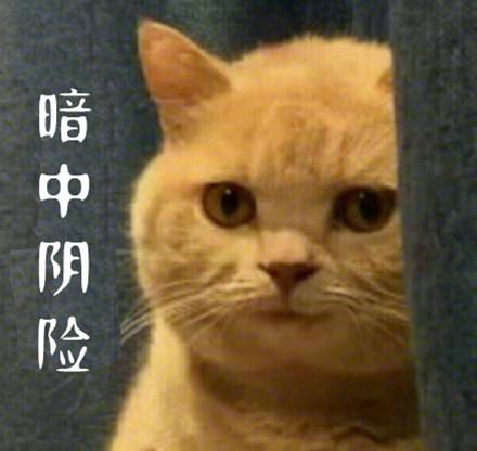 qq表情暗中观察是什么意思