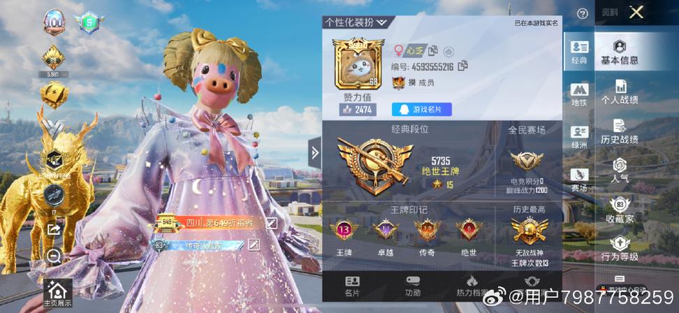 和平精英兵团含金量高吗