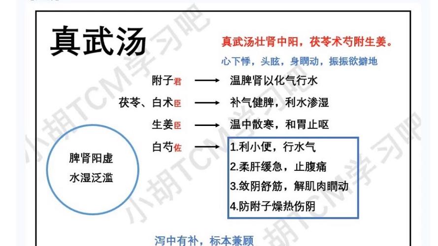李可真武汤的配方