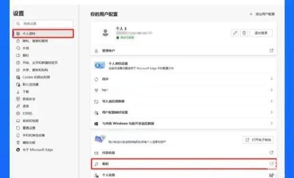 查看浏览器密码的注意事项
