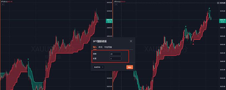 商品SPT什么意思