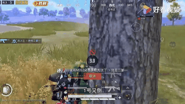 和平精英能扶敌人吗