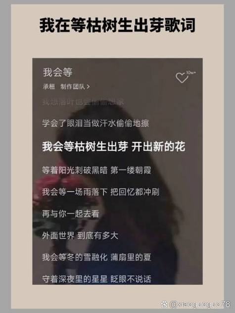 本地歌曲不显示歌词