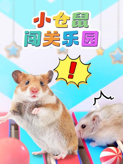 小仓鼠冒险闯关记