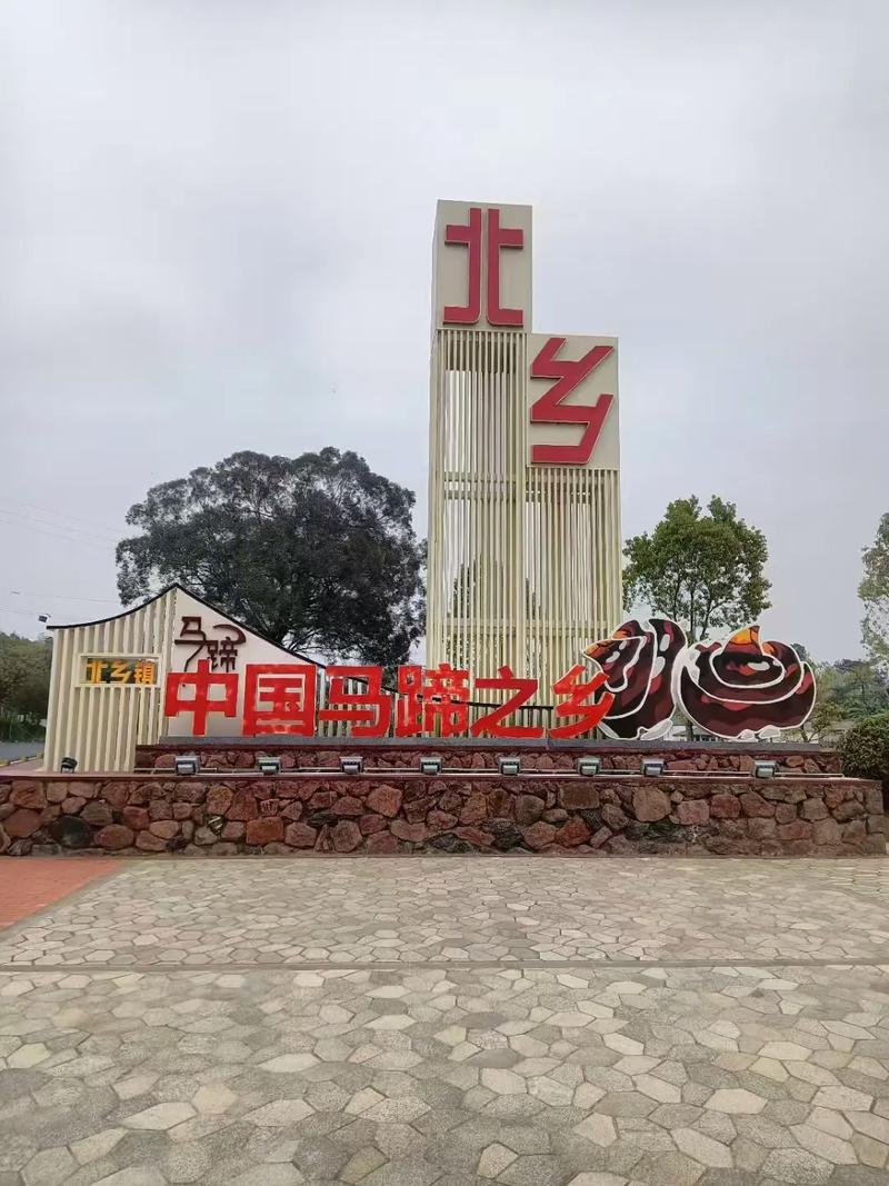 北乡夜歌全部播放