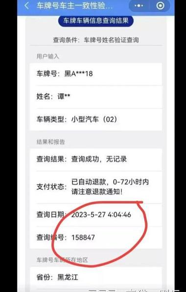 查询车主姓名
