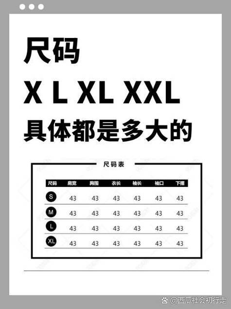 身高173体重110穿L还是M