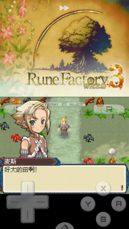 符文工房3结婚流程
